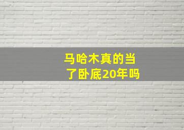 马哈木真的当了卧底20年吗