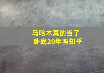 马哈木真的当了卧底20年吗知乎