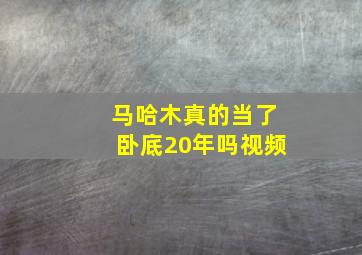 马哈木真的当了卧底20年吗视频