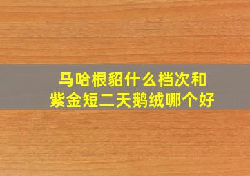 马哈根貂什么档次和紫金短二天鹅绒哪个好