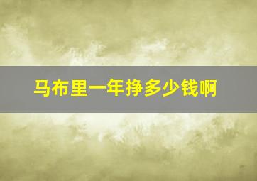 马布里一年挣多少钱啊