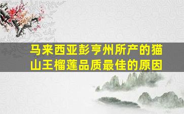 马来西亚彭亨州所产的猫山王榴莲品质最佳的原因