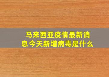 马来西亚疫情最新消息今天新增病毒是什么