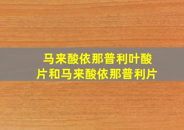 马来酸依那普利叶酸片和马来酸依那普利片