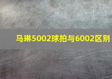 马琳5002球拍与6002区别