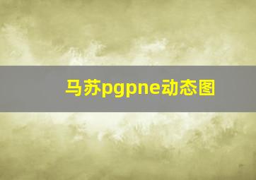 马苏pgpne动态图