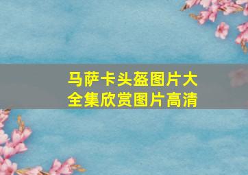 马萨卡头盔图片大全集欣赏图片高清