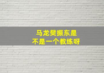 马龙樊振东是不是一个教练呀