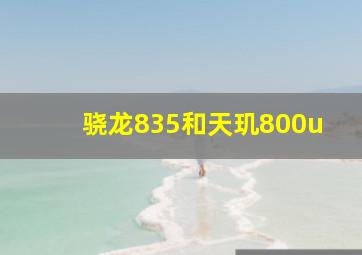 骁龙835和天玑800u