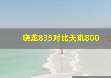 骁龙835对比天玑800