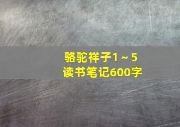 骆驼祥子1～5读书笔记600字