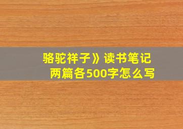 骆驼祥子》读书笔记两篇各500字怎么写