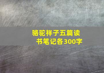 骆驼祥子五篇读书笔记各300字