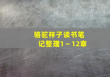 骆驼祥子读书笔记整理1～12章