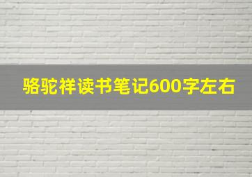 骆驼祥读书笔记600字左右