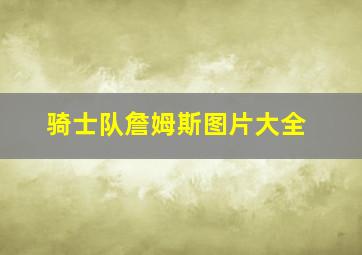 骑士队詹姆斯图片大全