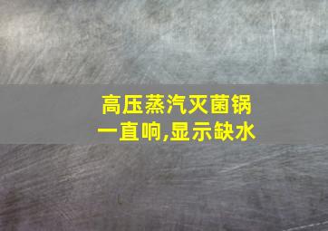 高压蒸汽灭菌锅一直响,显示缺水