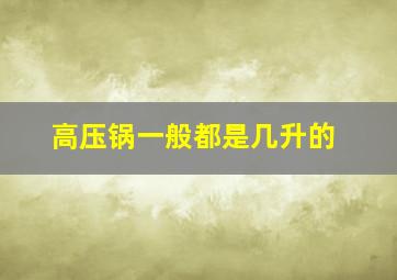 高压锅一般都是几升的