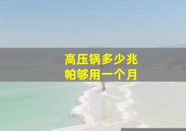 高压锅多少兆帕够用一个月