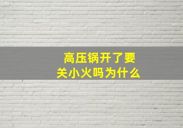 高压锅开了要关小火吗为什么