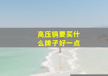 高压锅要买什么牌子好一点