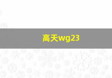 高天wg23