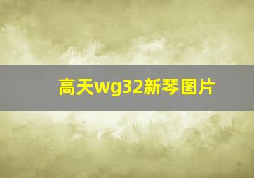 高天wg32新琴图片