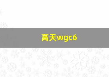 高天wgc6