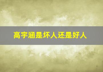 高宇涵是坏人还是好人