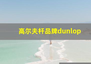 高尔夫杆品牌dunlop