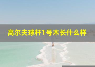 高尔夫球杆1号木长什么样