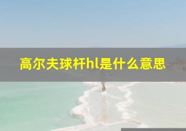 高尔夫球杆hl是什么意思