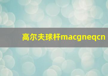 高尔夫球杆macgneqcn