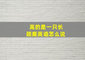 高的是一只长颈鹿英语怎么说