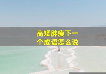 高矮胖瘦下一个成语怎么说