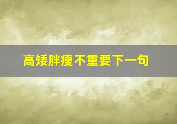 高矮胖瘦不重要下一句