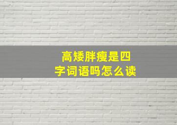 高矮胖瘦是四字词语吗怎么读