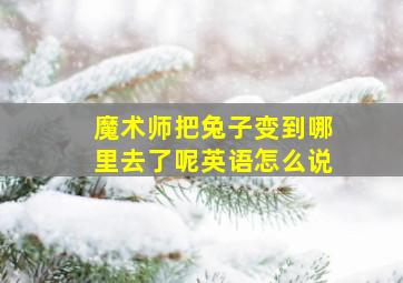 魔术师把兔子变到哪里去了呢英语怎么说