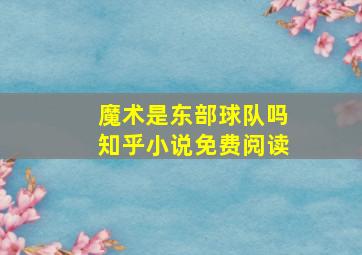 魔术是东部球队吗知乎小说免费阅读