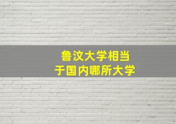 鲁汶大学相当于国内哪所大学