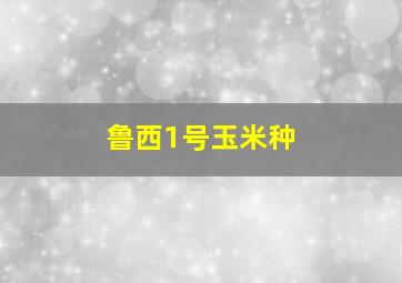 鲁西1号玉米种