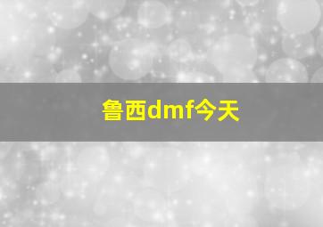 鲁西dmf今天