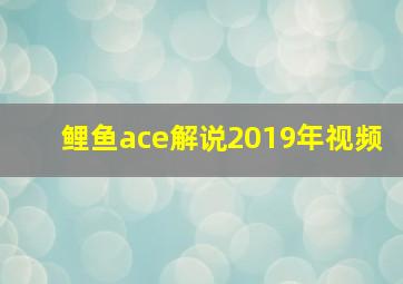 鲤鱼ace解说2019年视频