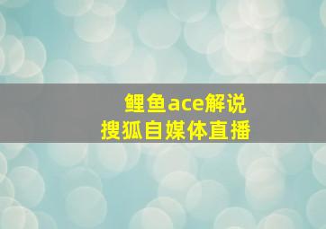 鲤鱼ace解说搜狐自媒体直播