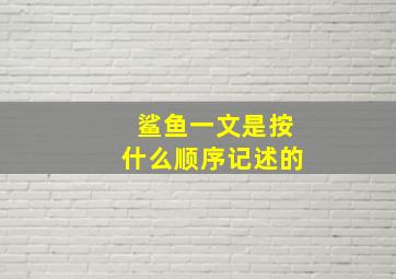 鲨鱼一文是按什么顺序记述的