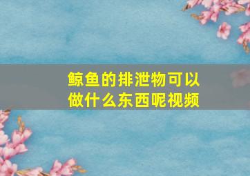 鲸鱼的排泄物可以做什么东西呢视频