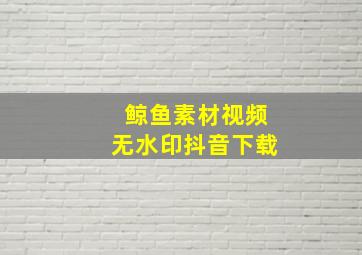 鲸鱼素材视频无水印抖音下载