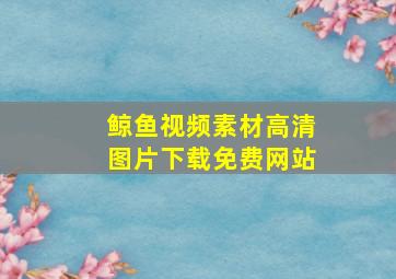 鲸鱼视频素材高清图片下载免费网站