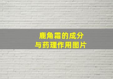 鹿角霜的成分与药理作用图片