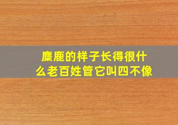 麋鹿的样子长得很什么老百姓管它叫四不像